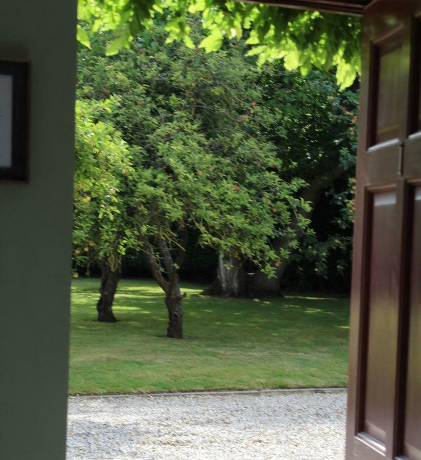 Bed and Breakfast Hope Orchard Cheltenham Zewnętrze zdjęcie